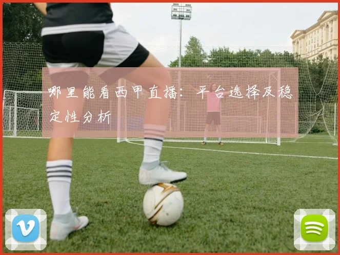 哪里能看西甲直播:平台选择及稳定性分析