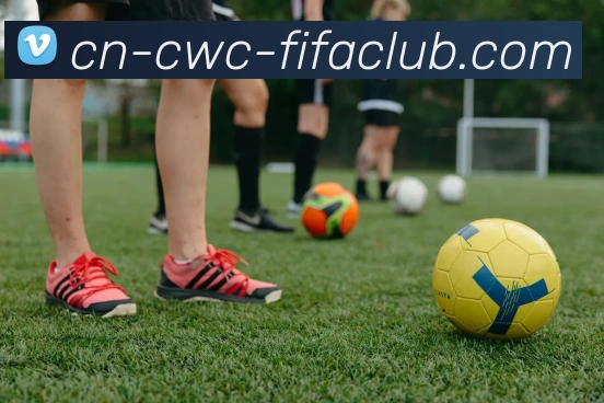 世界杯买球发展历程