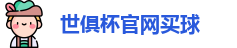 2025世界俱乐部杯